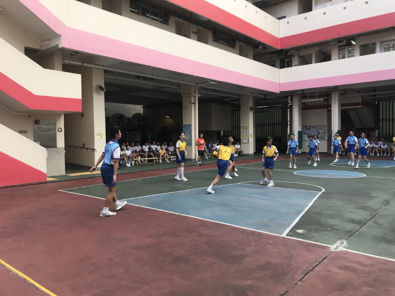 ../Images/2018-06-26 08 31 48.jpg